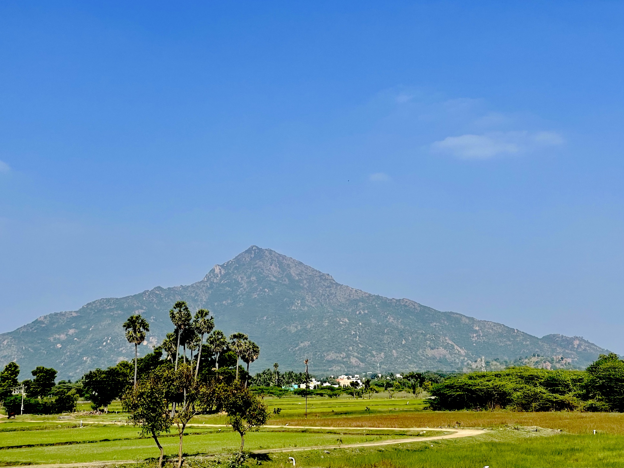 Arunachala Shiva purnima